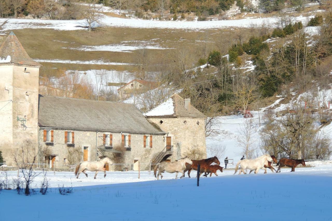 Le Colombier Bed & Breakfast Glandage Bagian luar foto